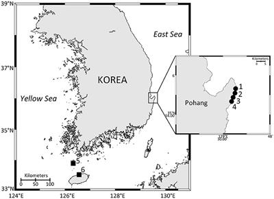 Genetic Analyses of the rbcL and psaA Genes From Single Cells Demonstrate a Rhodophyte Origin of the Prey in the Toxic Benthic Dinoflagellate Ostreopsis